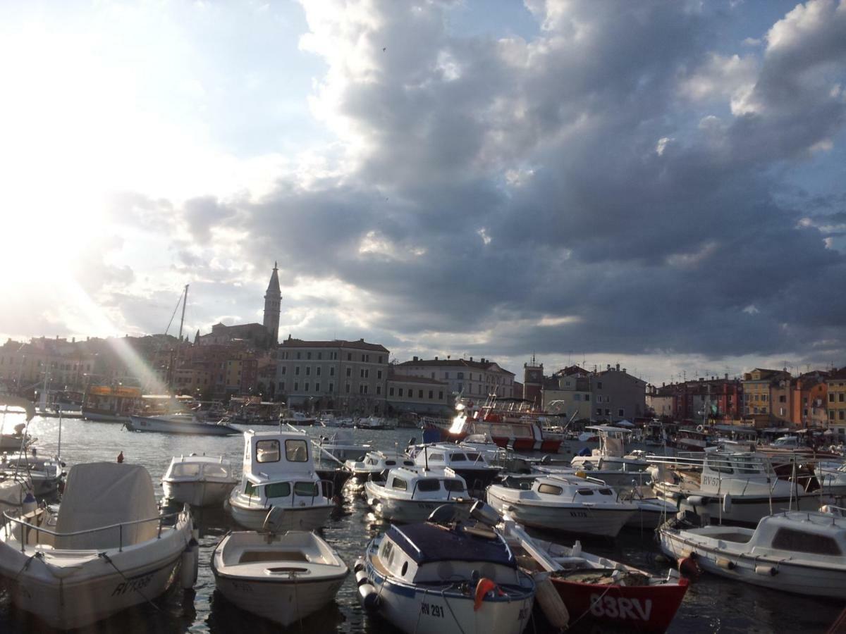 Yellow Flower Apartment Rovinj